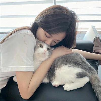 权少的贴身翻译官